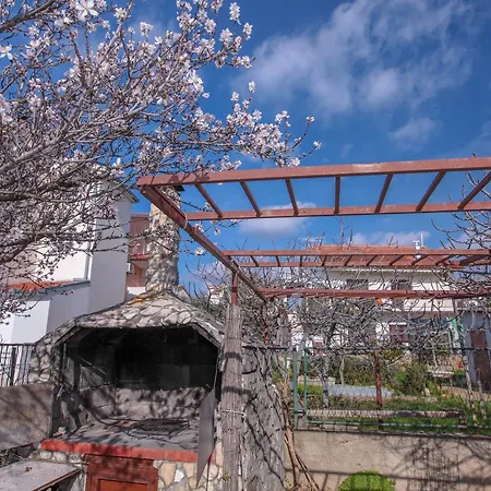 Rozmaryn アパート